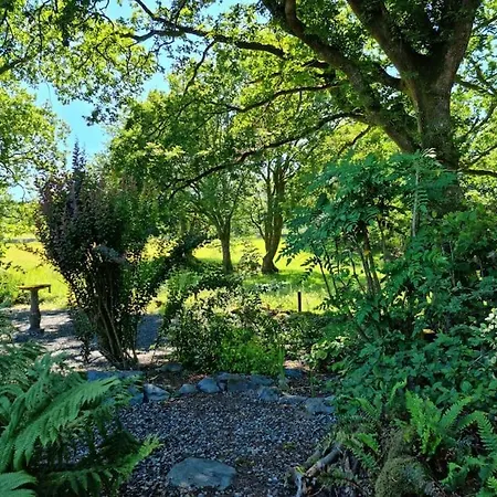 Luxury Wood Lodge With Sauna, Log Burner & Private Woodland Garden - Wnion Wood Lodge Llanfachreth Exterior photo