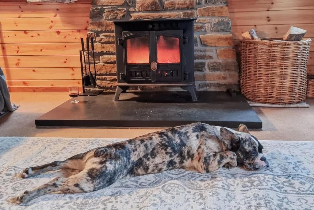 Luxury Wood With Sauna, Log Burner & Private Woodland Garden - Wnion Wood Chalet *