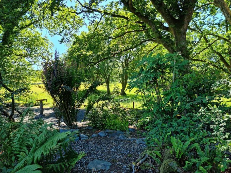 Chalet Luxury Wood With Sauna, Log Burner & Private Woodland Garden - Wnion Wood Llanfachreth