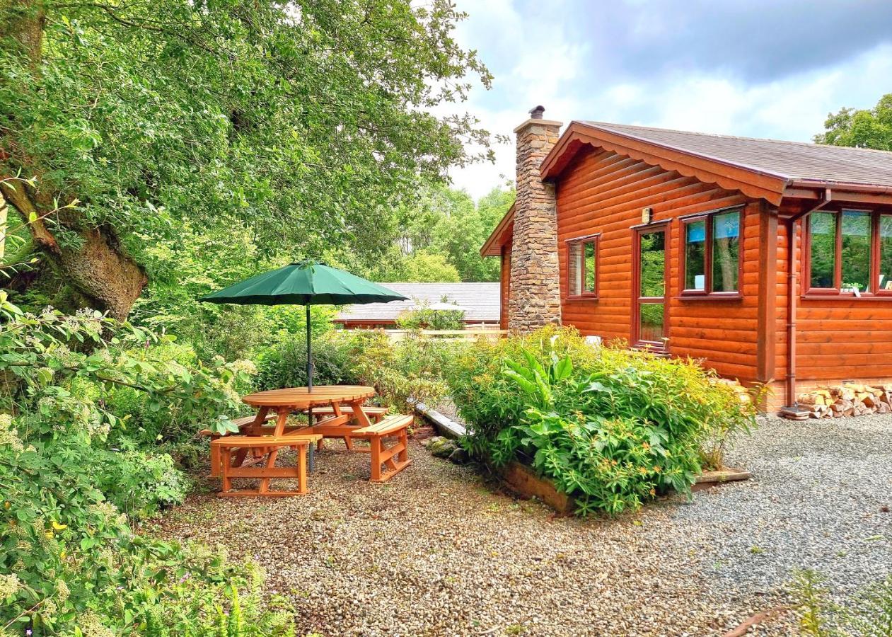Luxury Wood With Sauna, Log Burner & Private Woodland Garden - Wnion Wood *