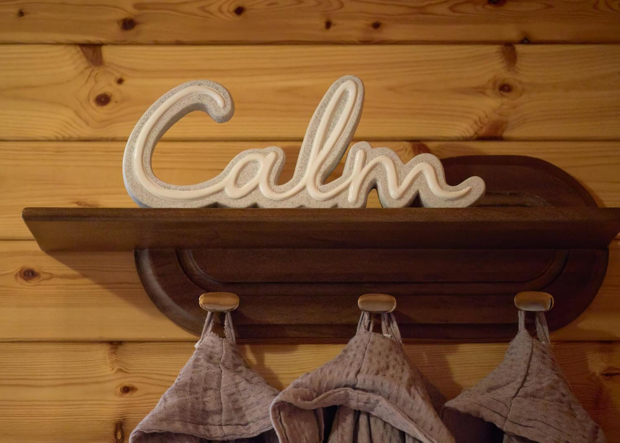 Luxury Wood With Sauna, Log Burner & Private Woodland Garden - Wnion Wood